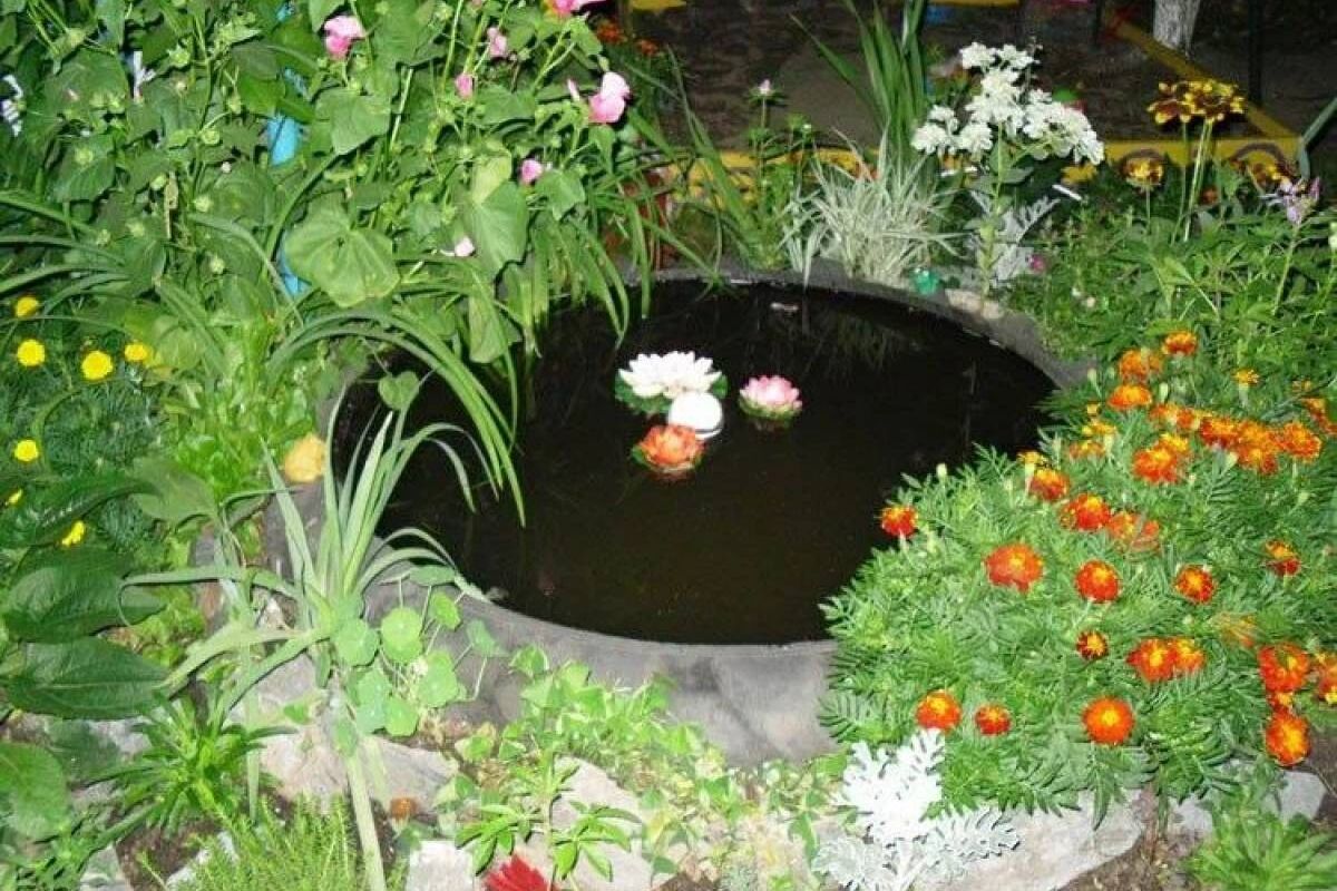 photo_2026-02-22_14-38-13 (2).jpg