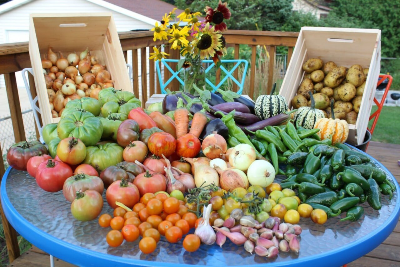 овощи на столе