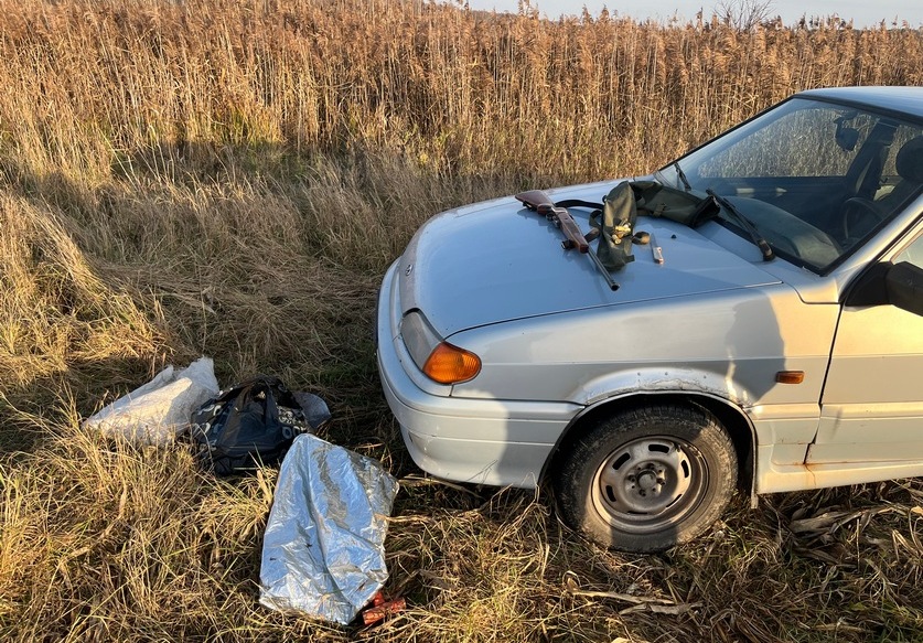 незаконная охота.jpg