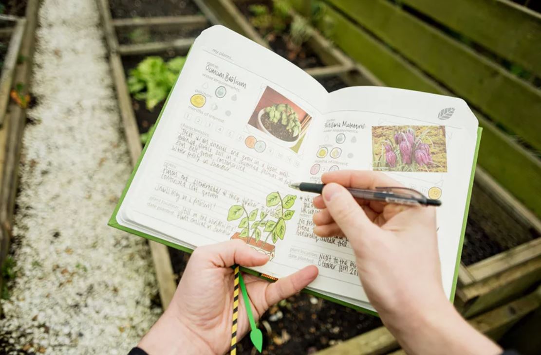 планирование посадок планирование3.jpg