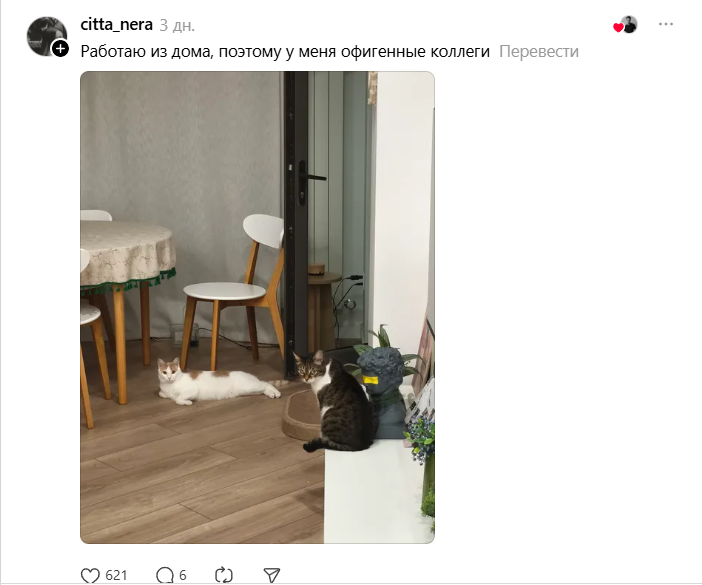 а я на удаленке а я на удаленке