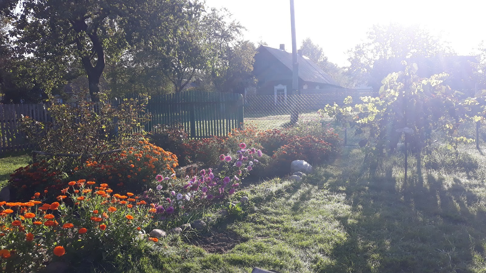 О чем говорили бабушки на лавке 8.jpg