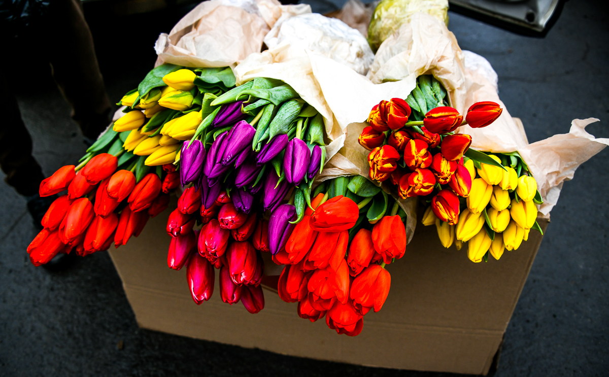 продажа цветов на 8 Марта