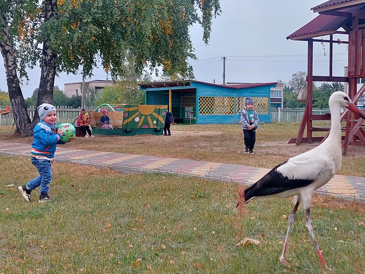 Дети приносят ему рыбу в ведёрке