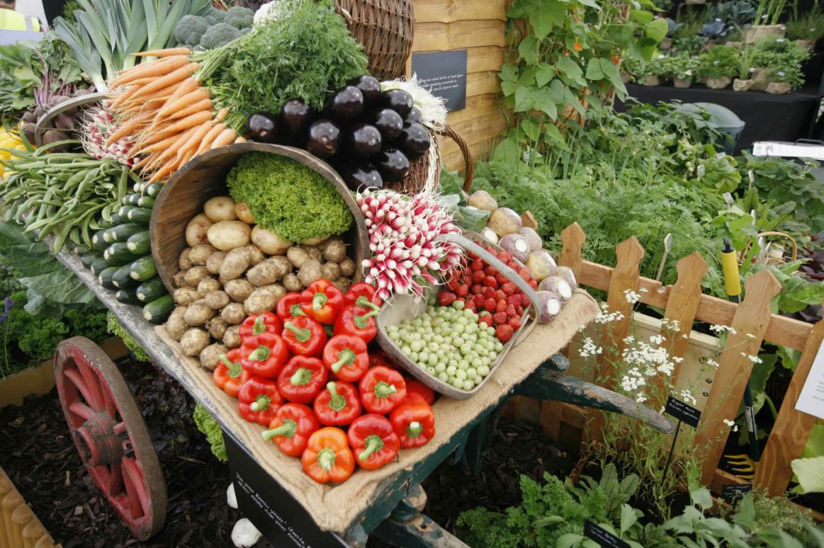 урожай в тележке.jpg