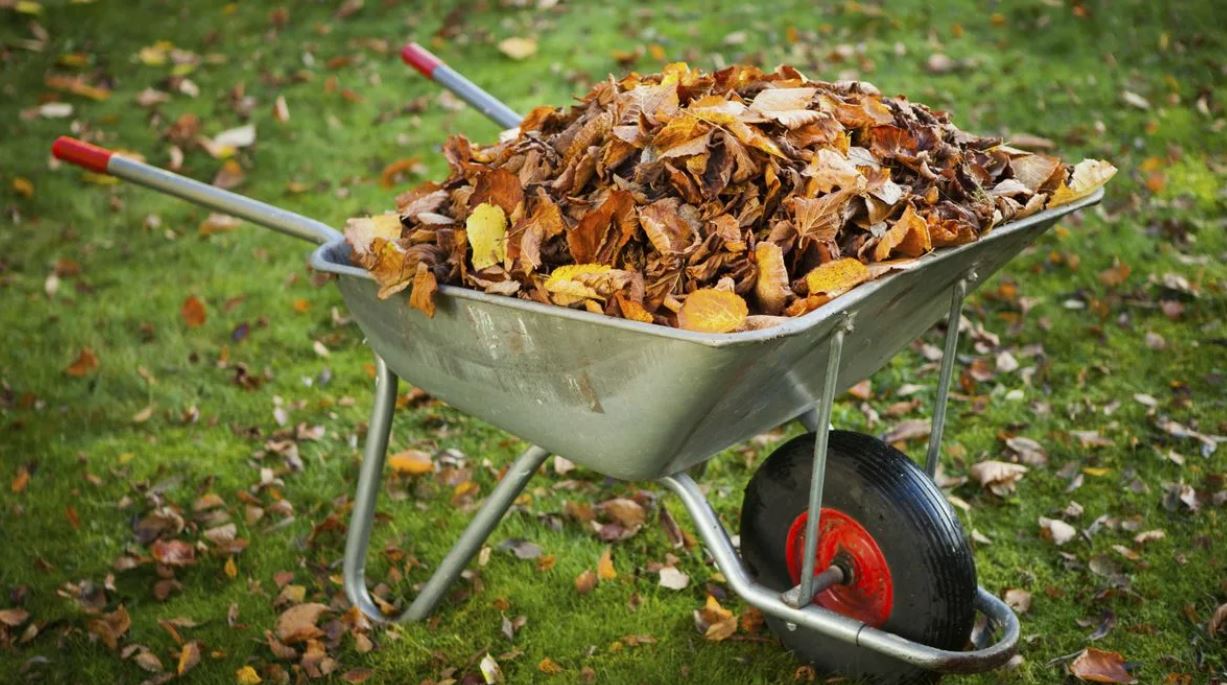 тачка с листьями