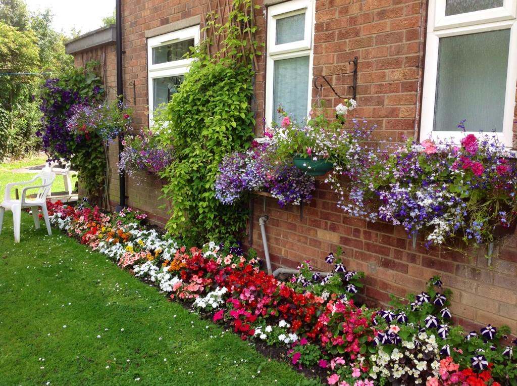 цветник цветник.jpg