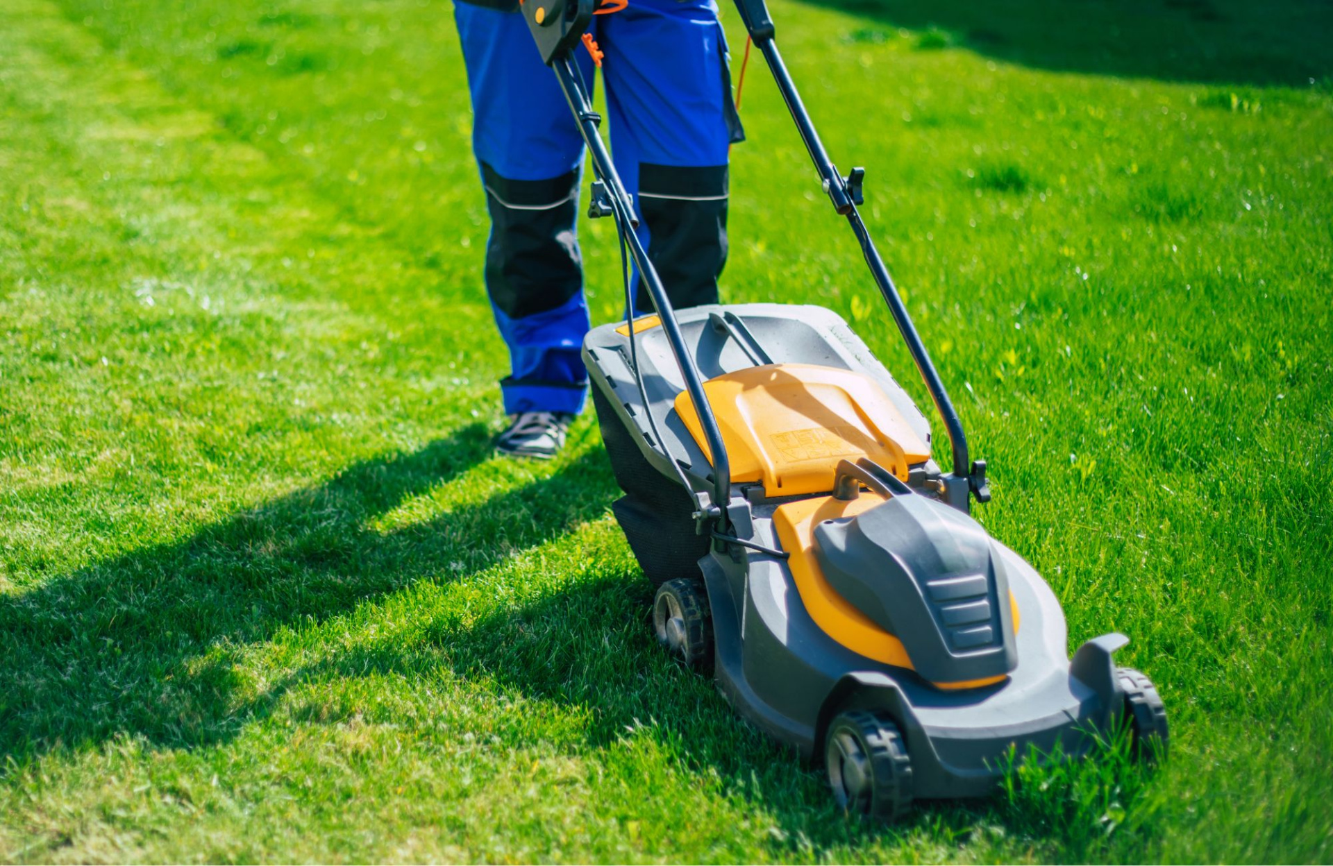 Садоводы-аллергики 5.jpg