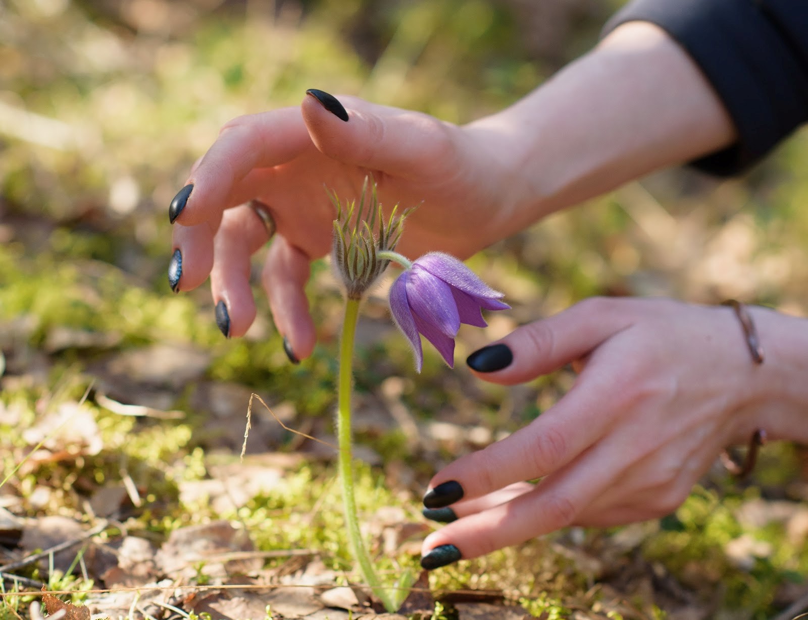 Апрельские первоцветы.jpg