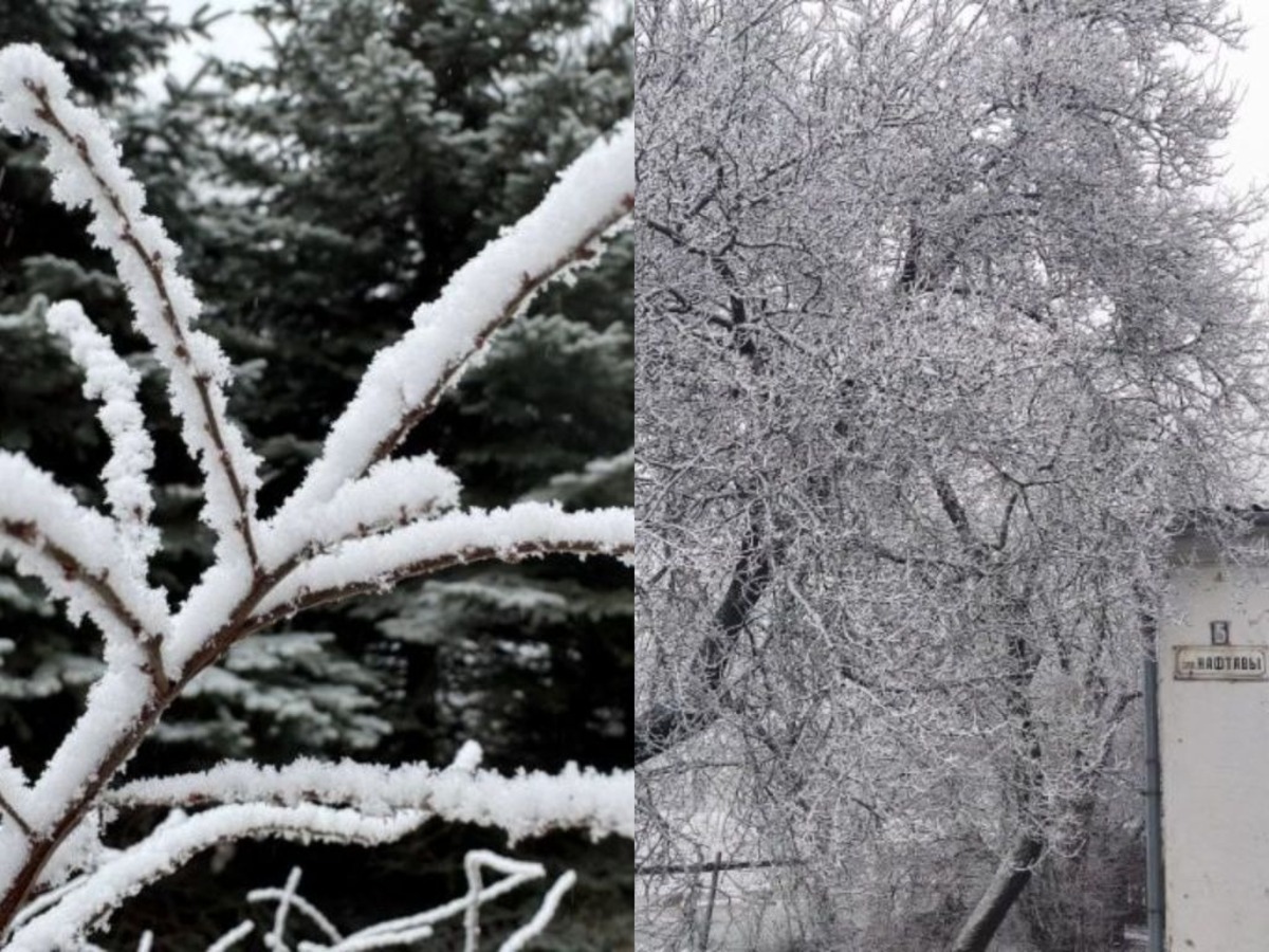антропогенный снег выпал в Минске