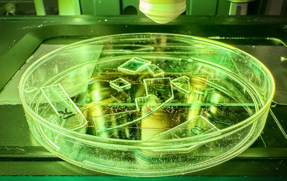 Прозрачные акриловые образцы с искусственно созданными нанотекстурированными поверхностями