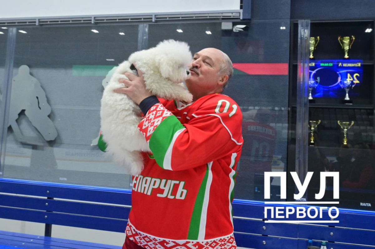 Умка и Лукашенко