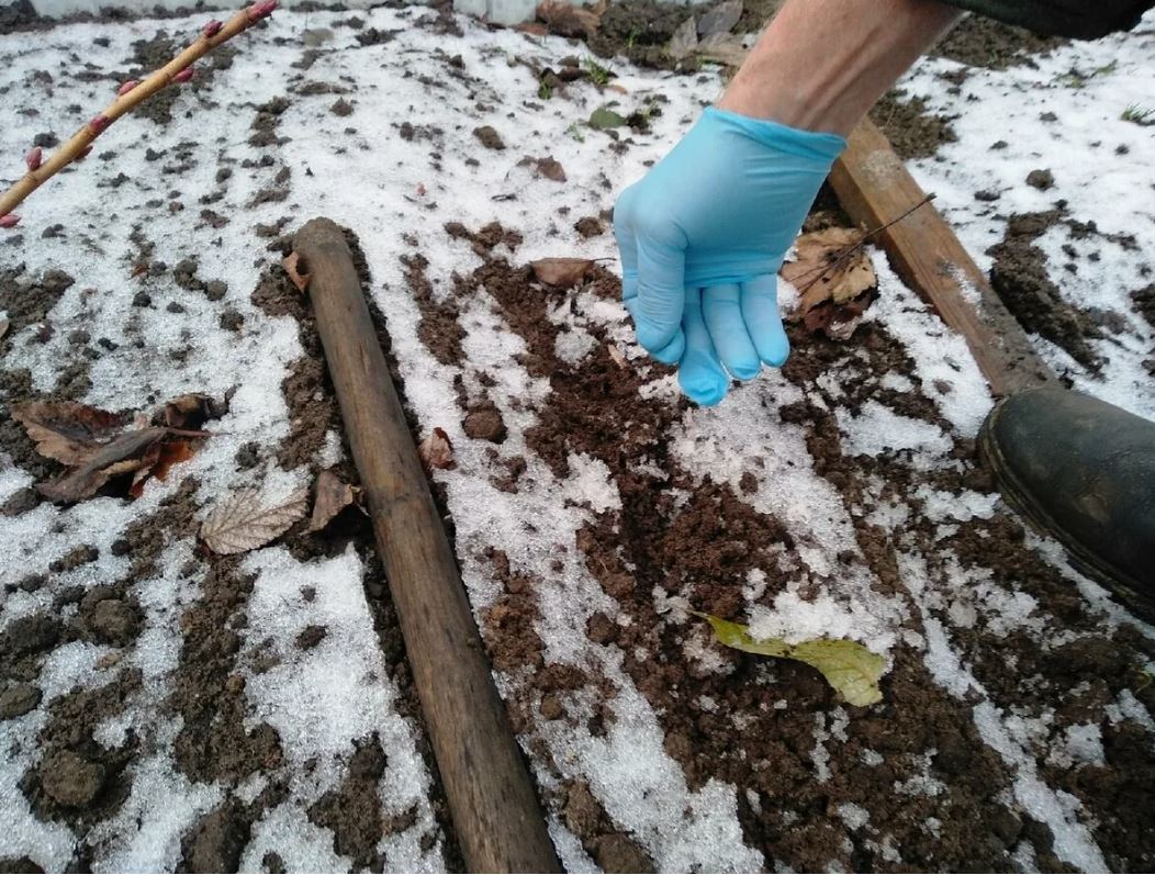 рука в перчатке рука в перчатке.jpg