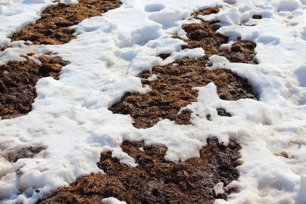 земля, снег.jpg