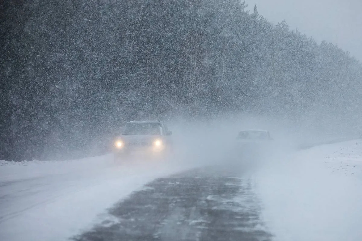 туман и снег на дороге