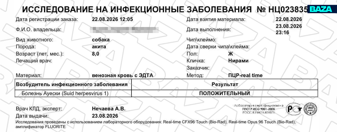скрин исследования, из ТГ Baza скрин исследования, из ТГ Baza