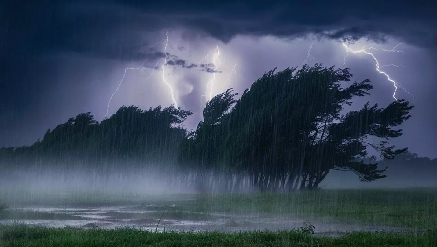 дождь, гроза и ветер