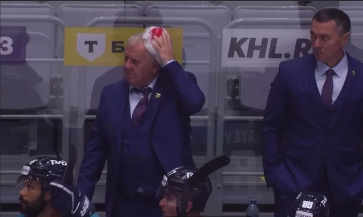 шайбой по голове