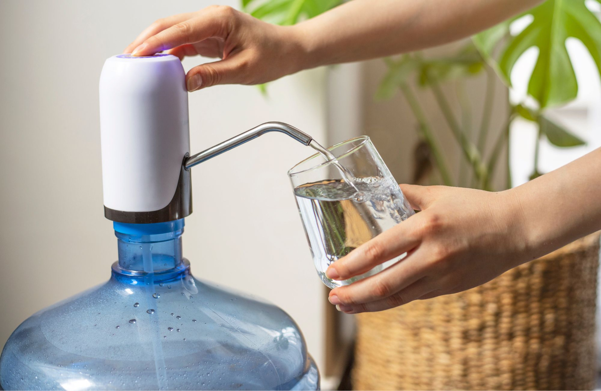 Псиллиум 2.jpg