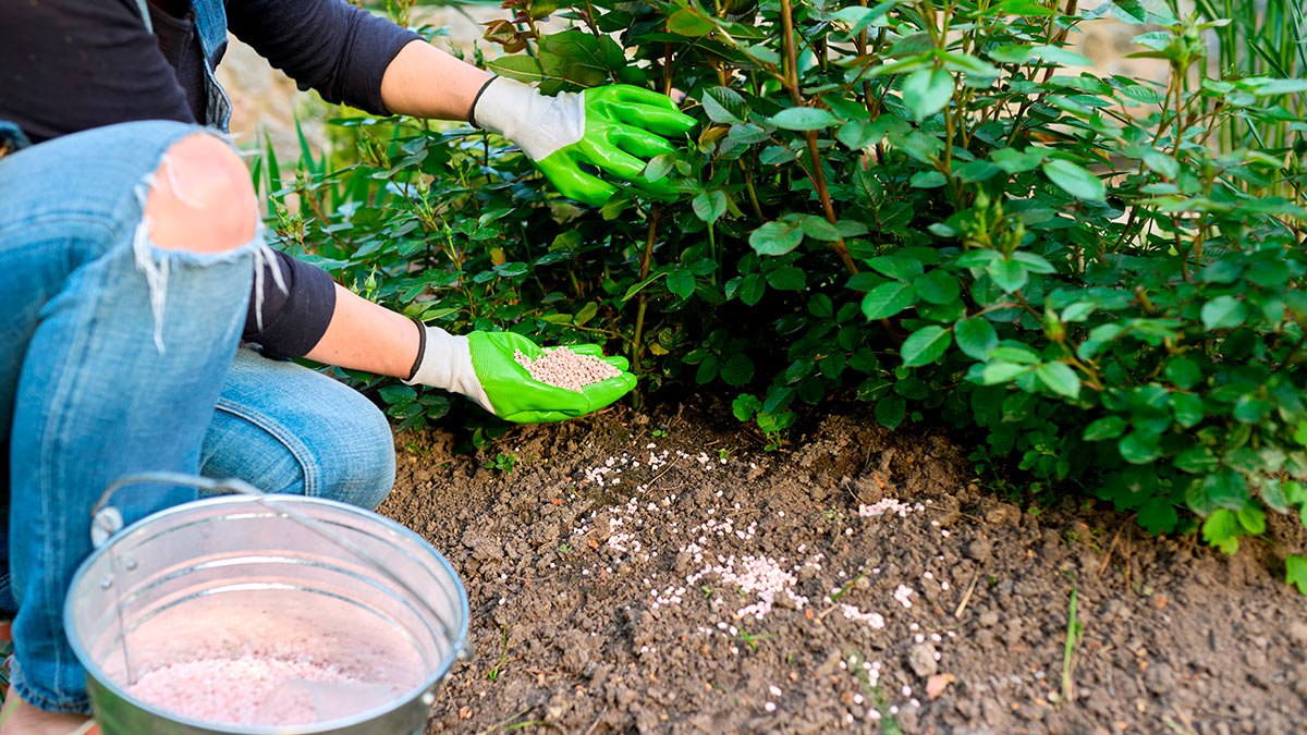 Удобрения осень