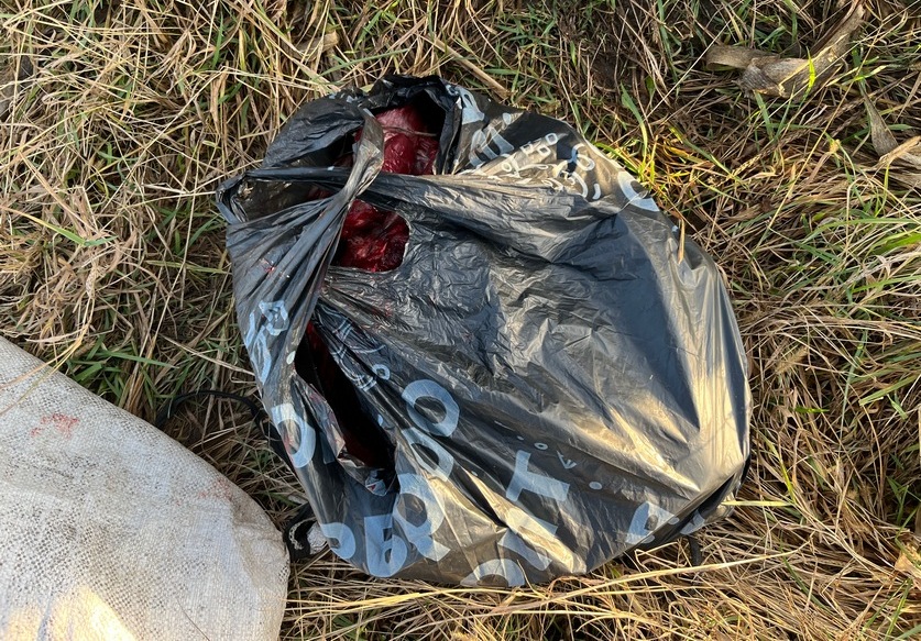 незаконная охота 1.jpg