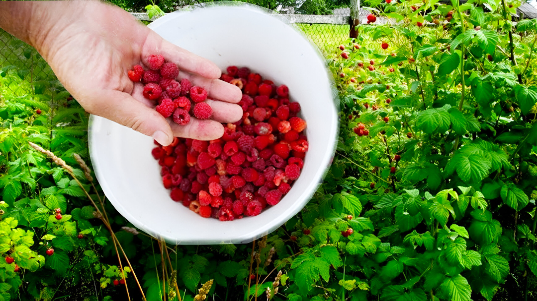 photo_2025-09-11_13-37-28 (2).jpg