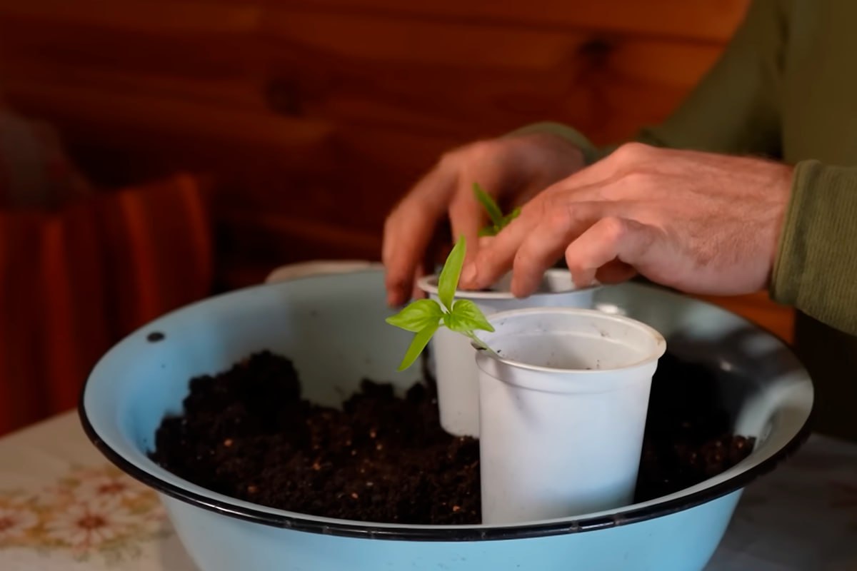 photo_2026-03-01_10-40-21 (3).jpg