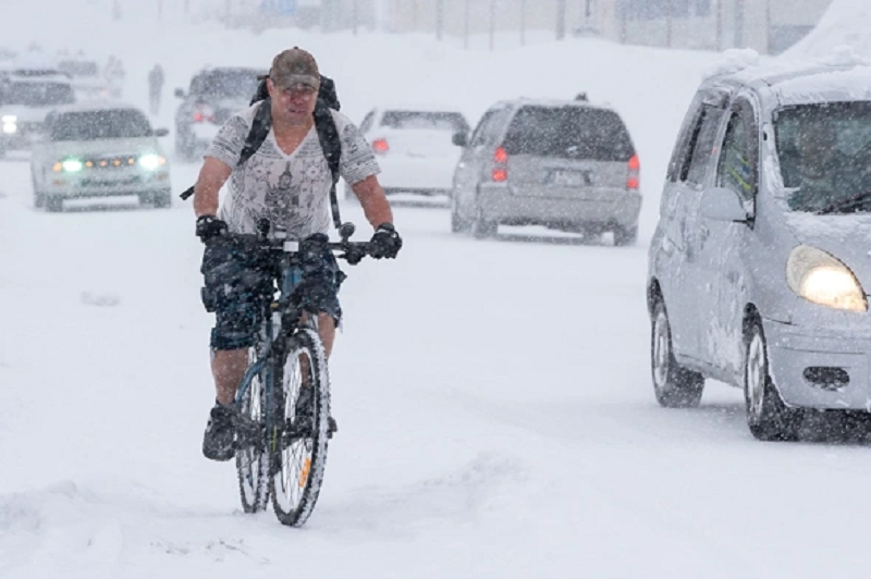 камчатка 7.png