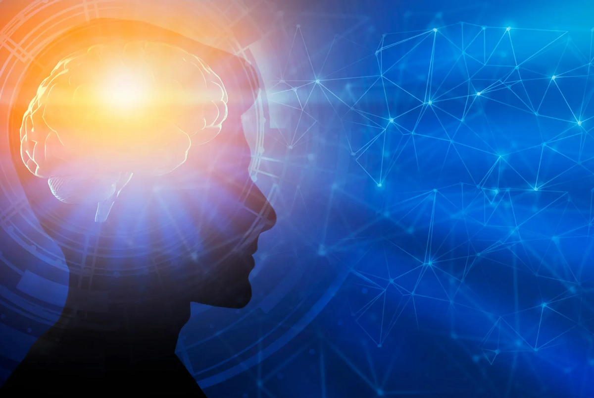 развитие мозга