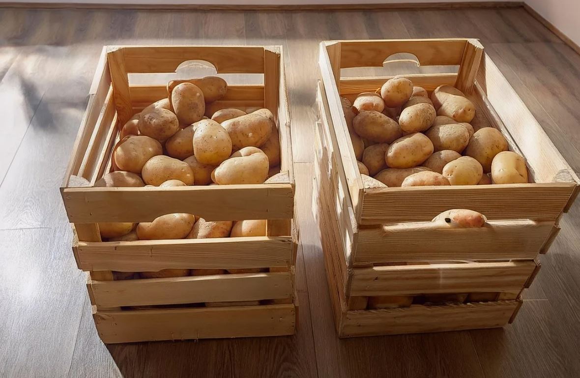 photo_2025-11-29_11-11-36 (2).jpg