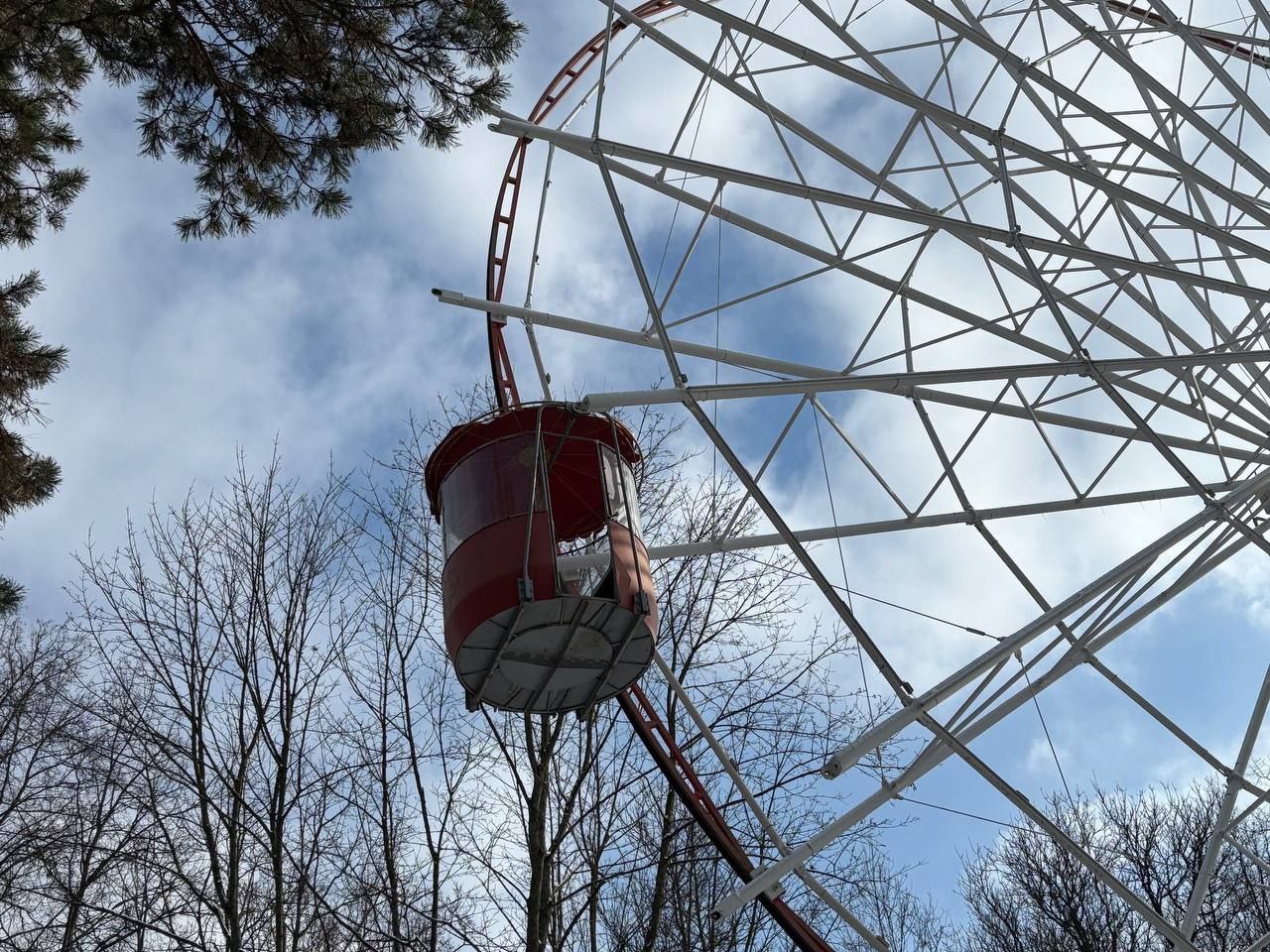 колесо обозрения.jpg