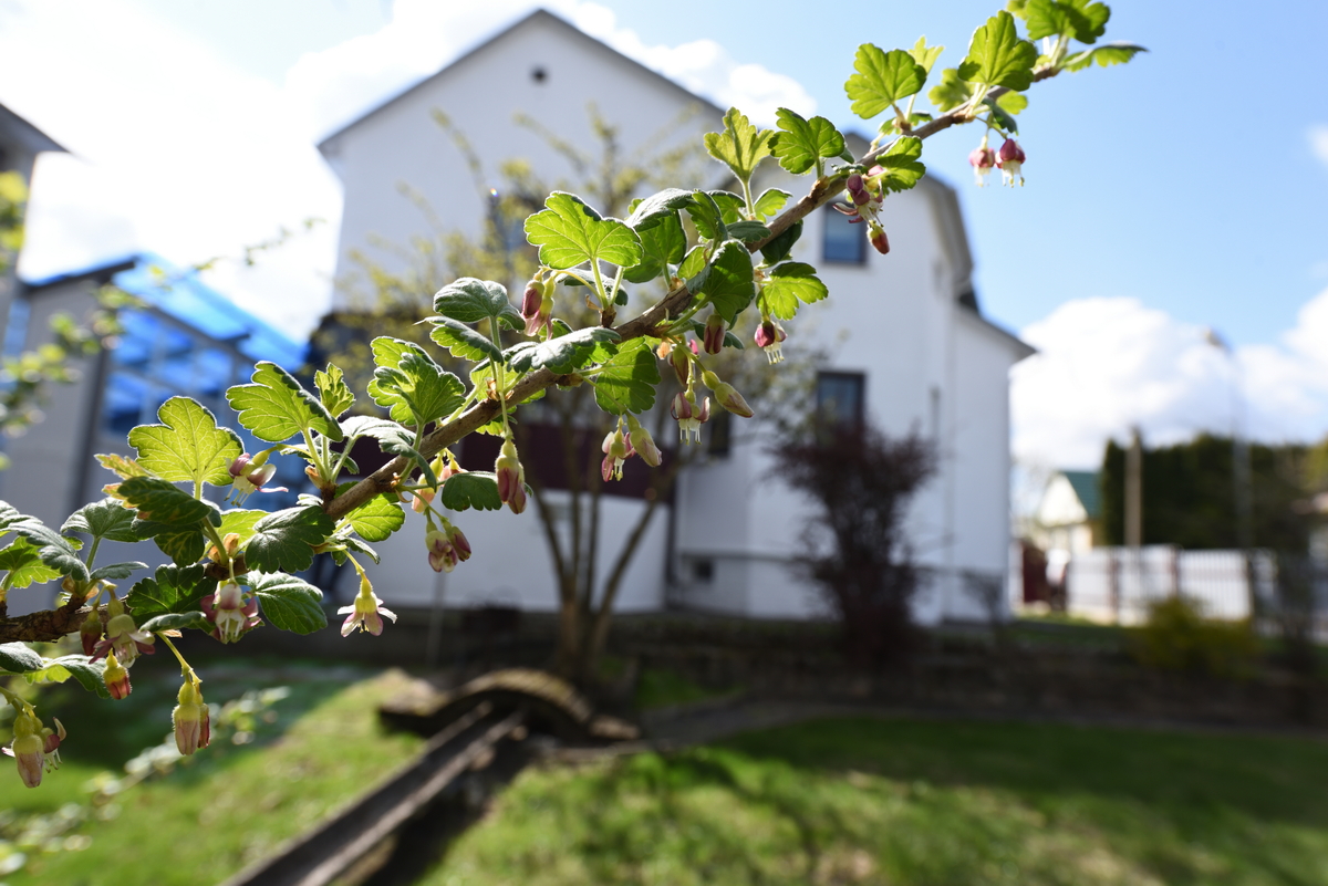 image14.jpg