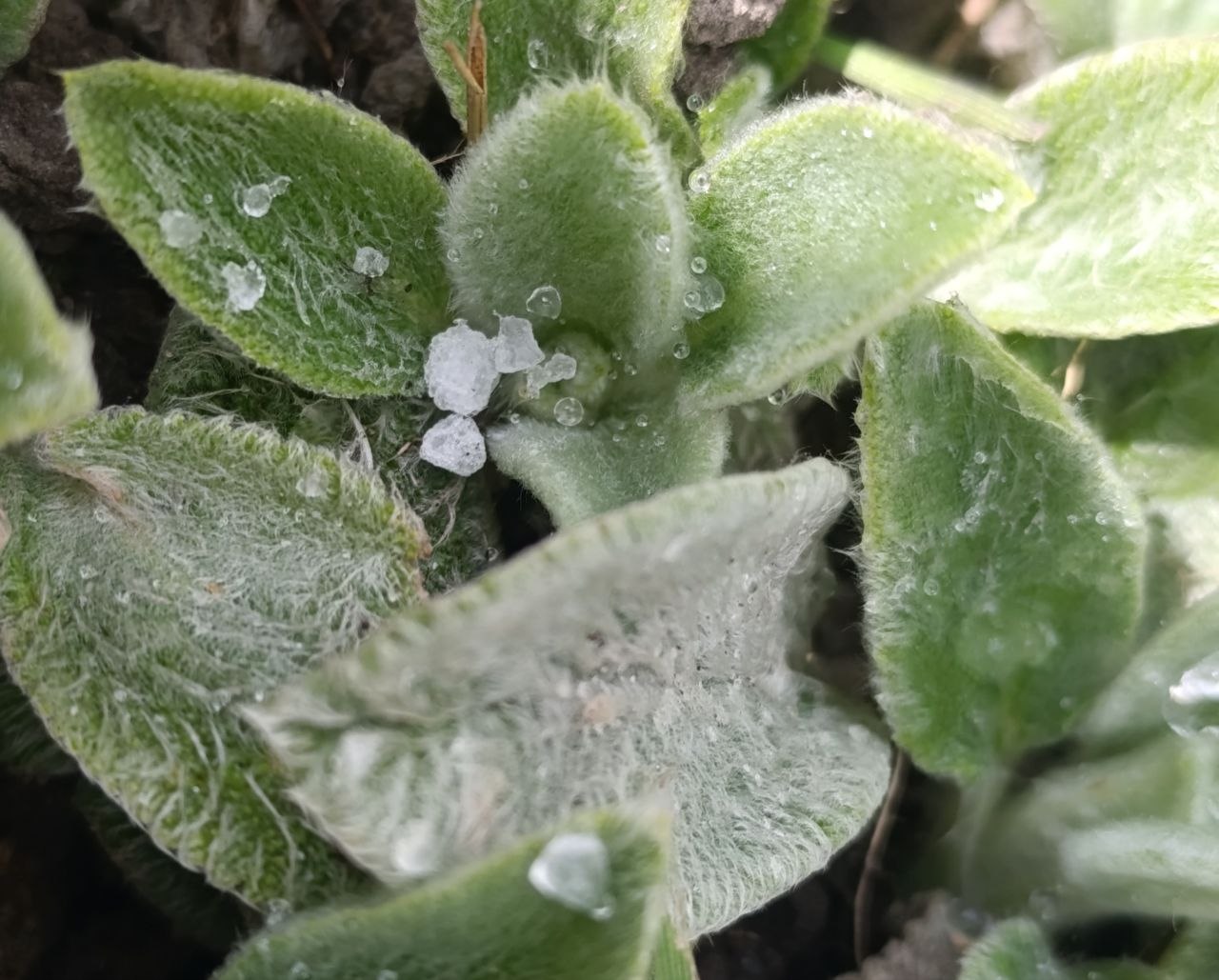 photo_2026-04-06_15-27-05 (2).jpg