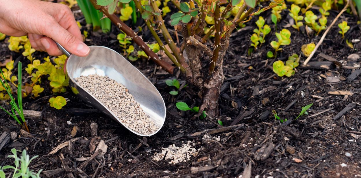 Осення подкормка