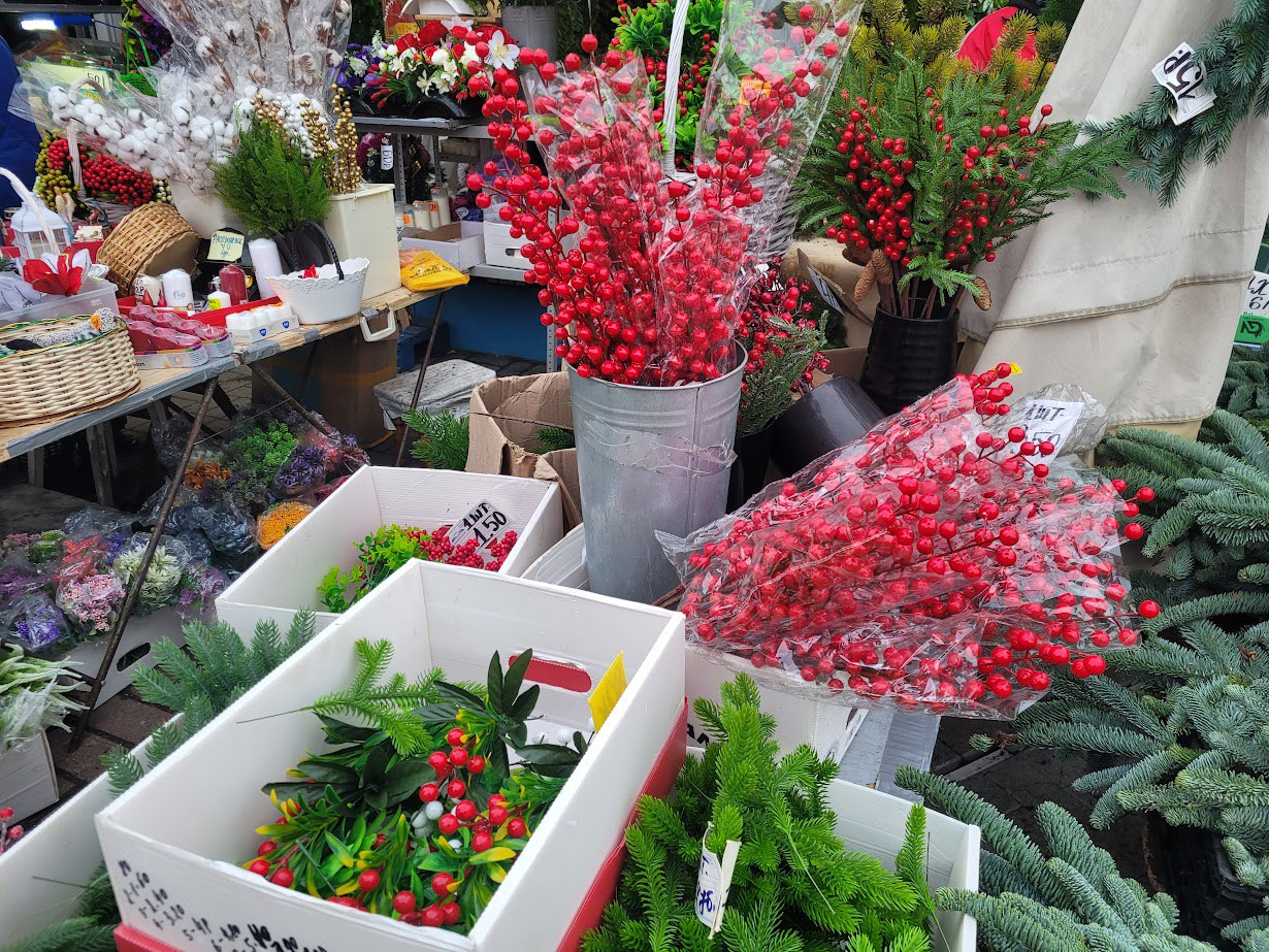 елки, комаровка елки, комаровка 7.jpg