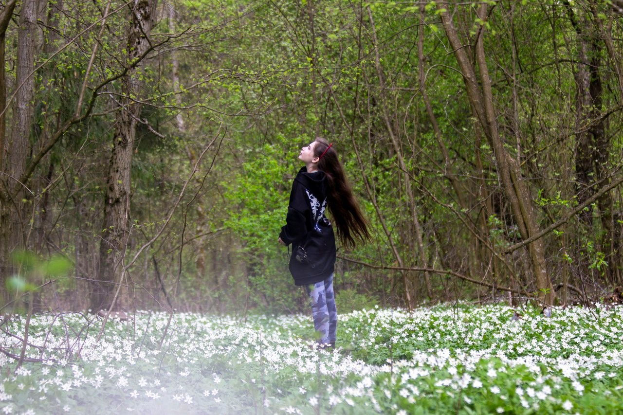 Цветочный ковер ветреницы дубравной 1.jpg