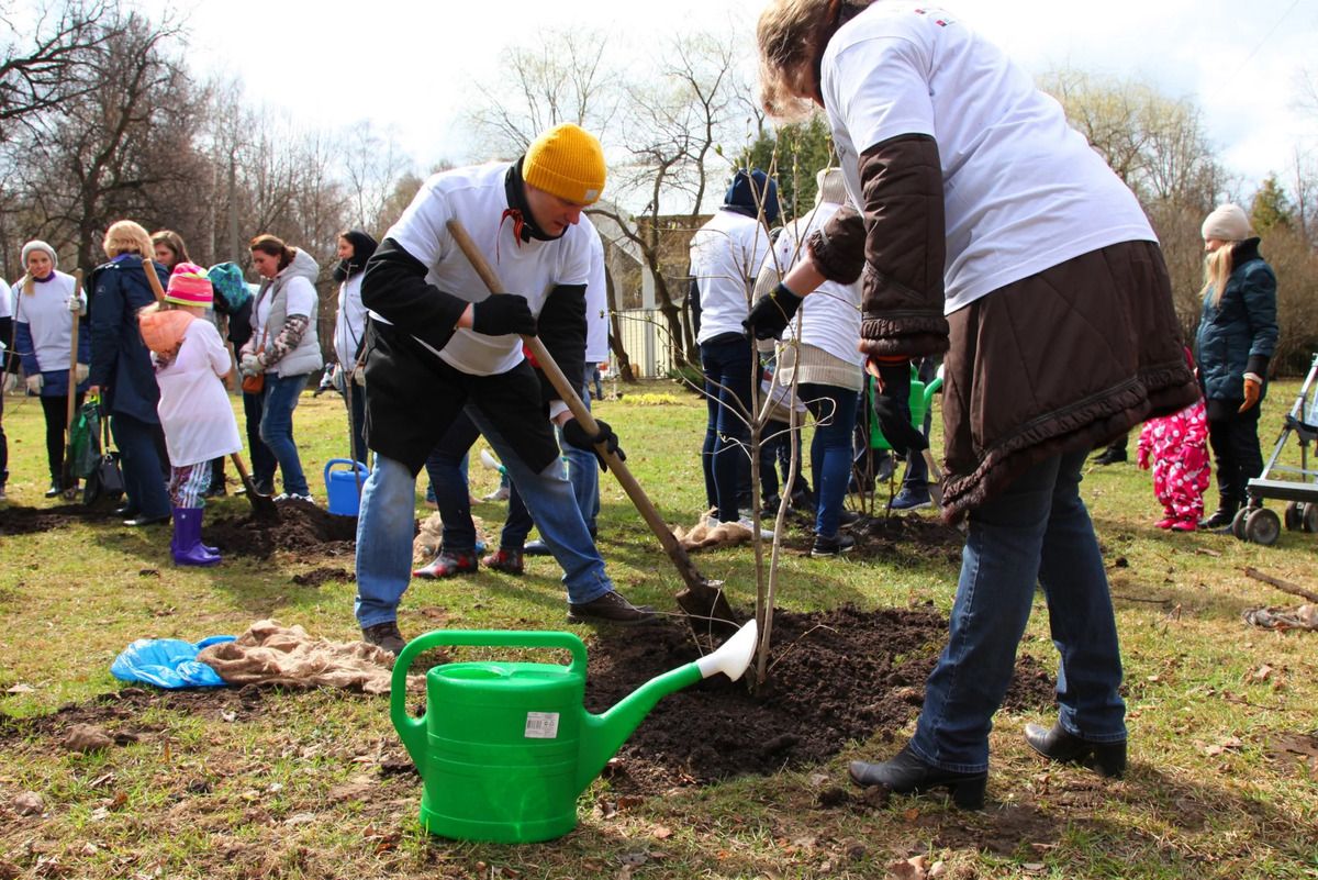 уборка территории весной уборка территории весной