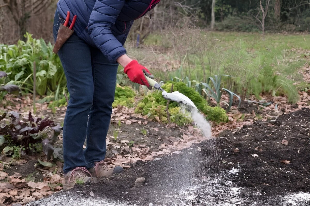 доломитовая мука