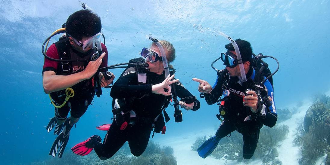 жестовый язык дайверов