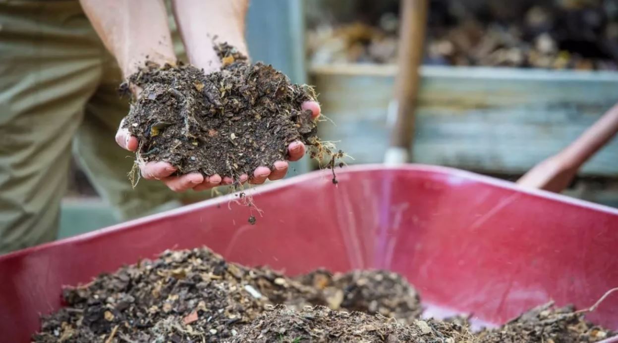 photo_2025-10-22_11-57-55 (2).jpg