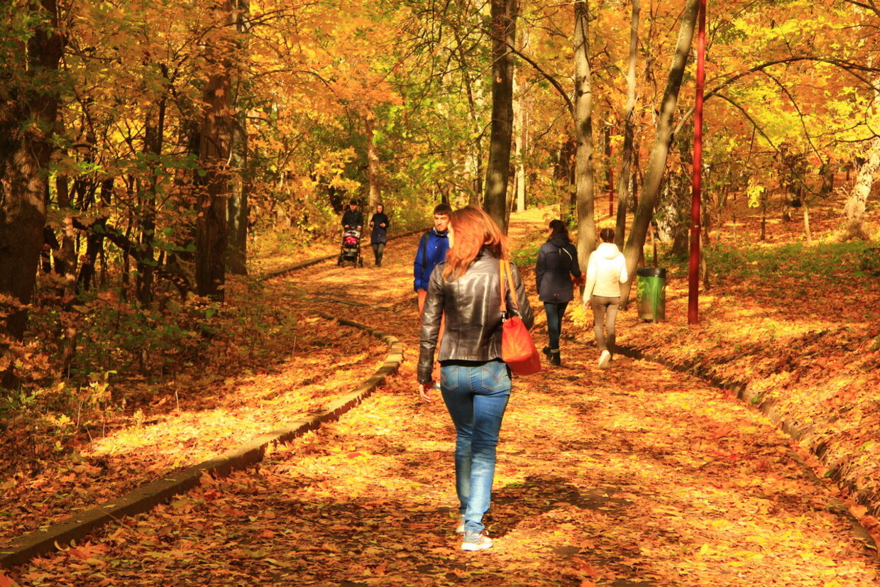 люди гуляют осенью в парке, солнце