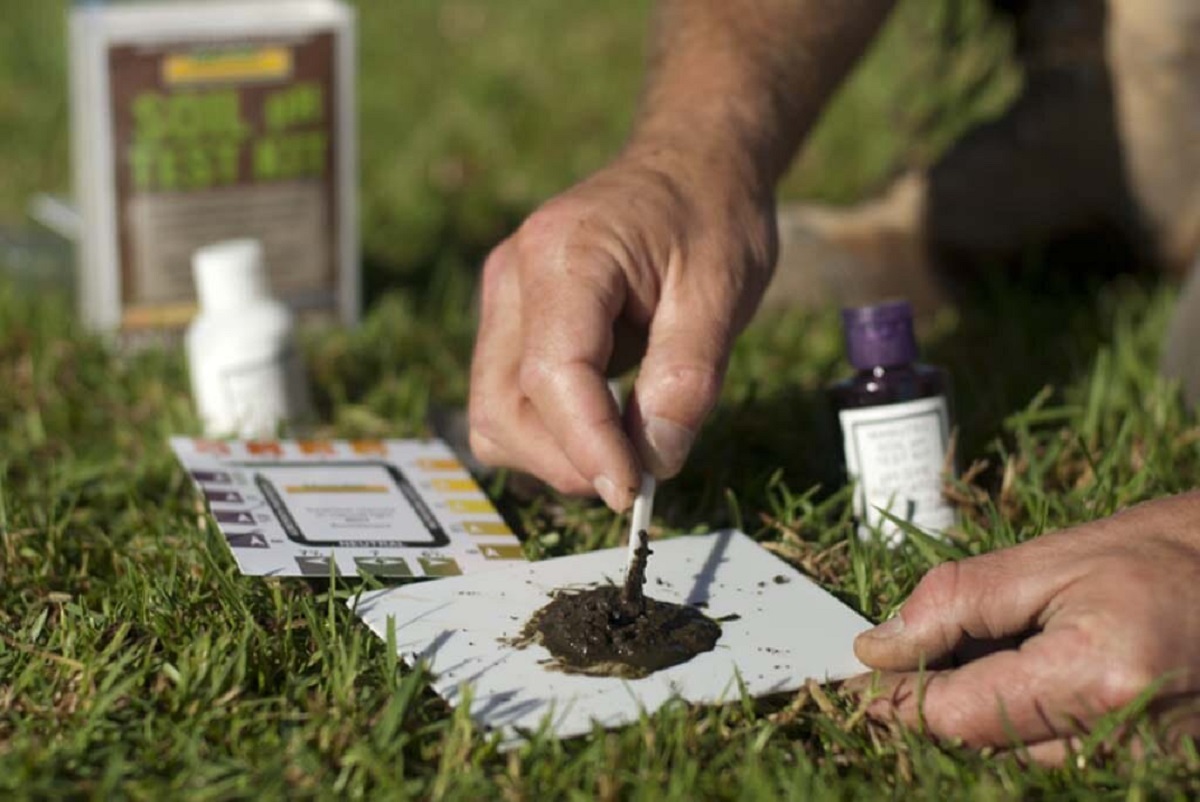 анализ почвы3.jpg