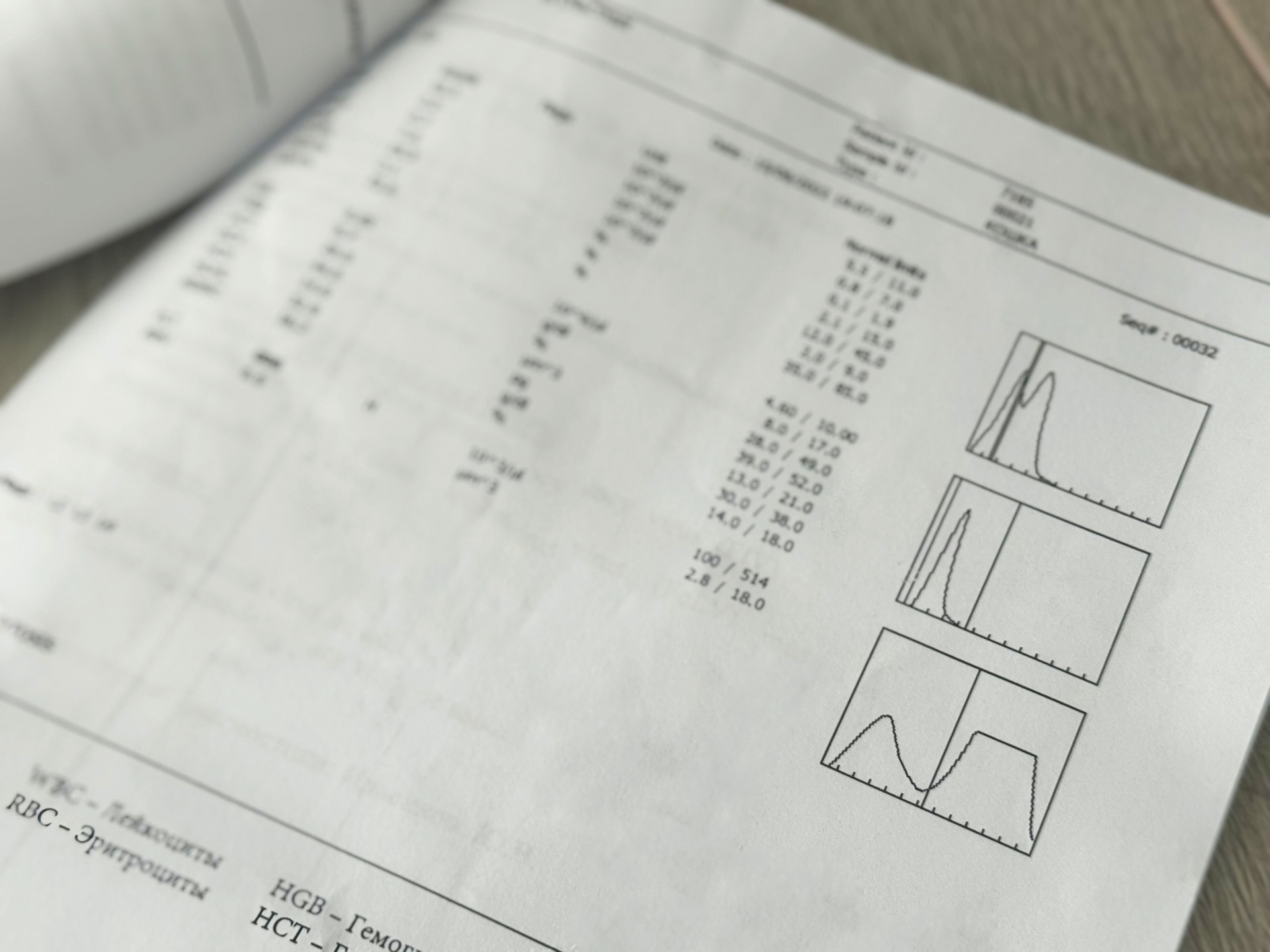 Анализ крови кота