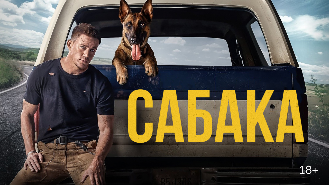Сабака