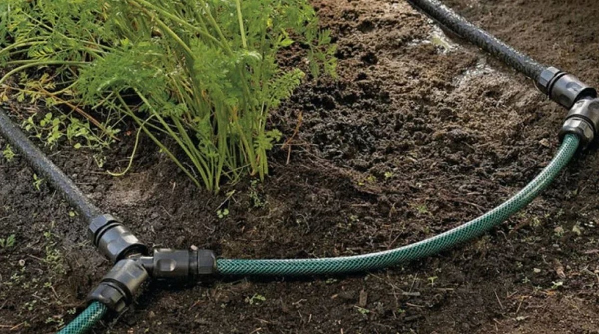 полив осенью.jpg