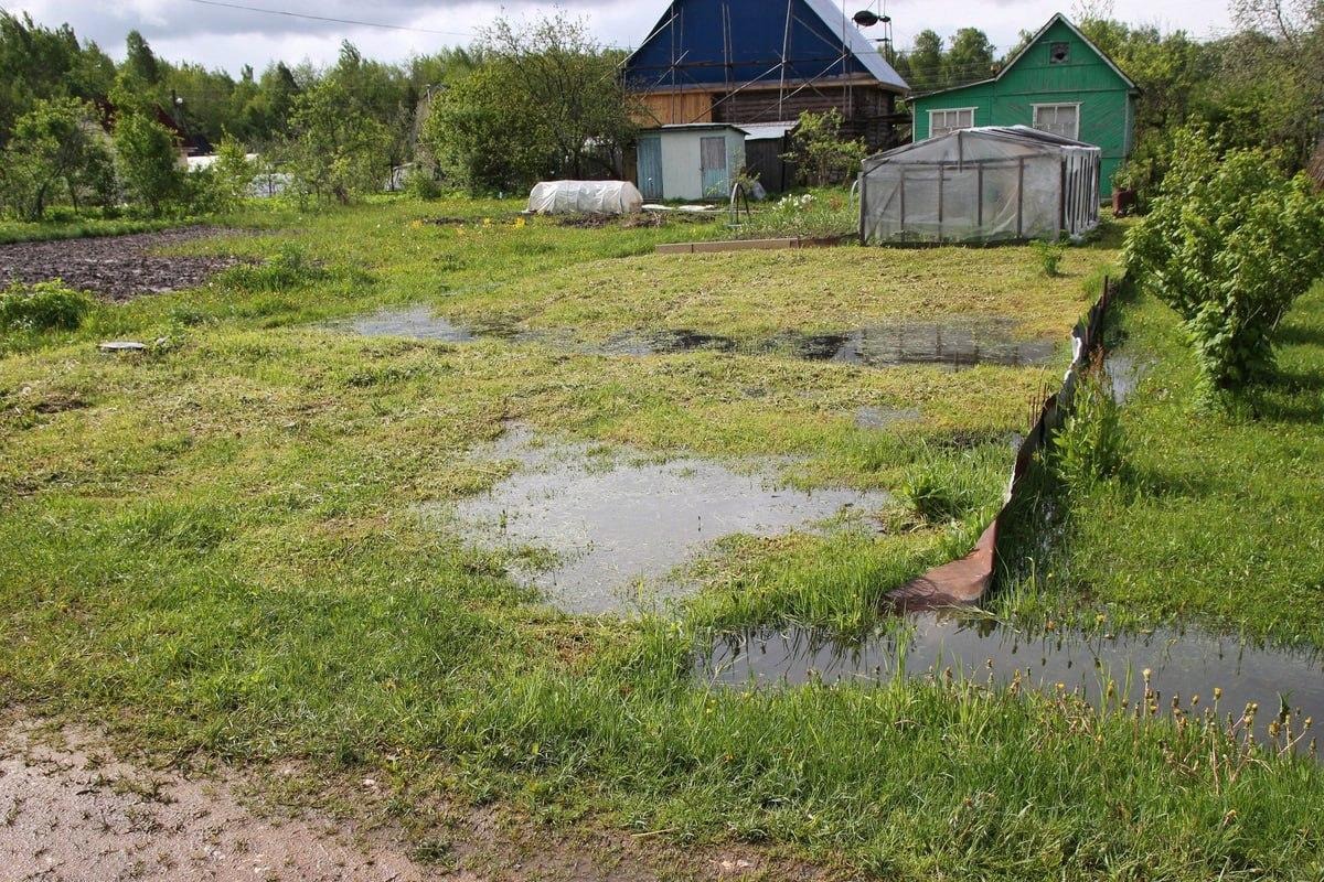 грядки