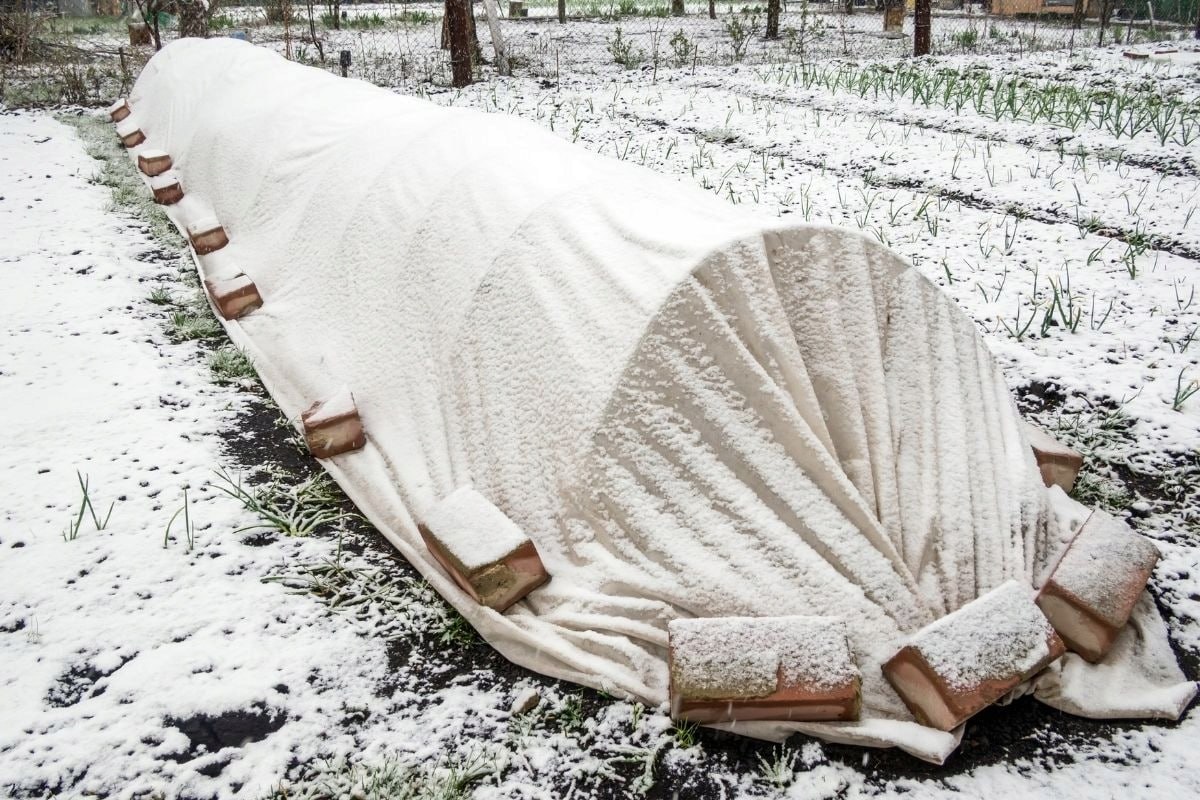 photo_2026-03-29_13-49-51 (3).jpg