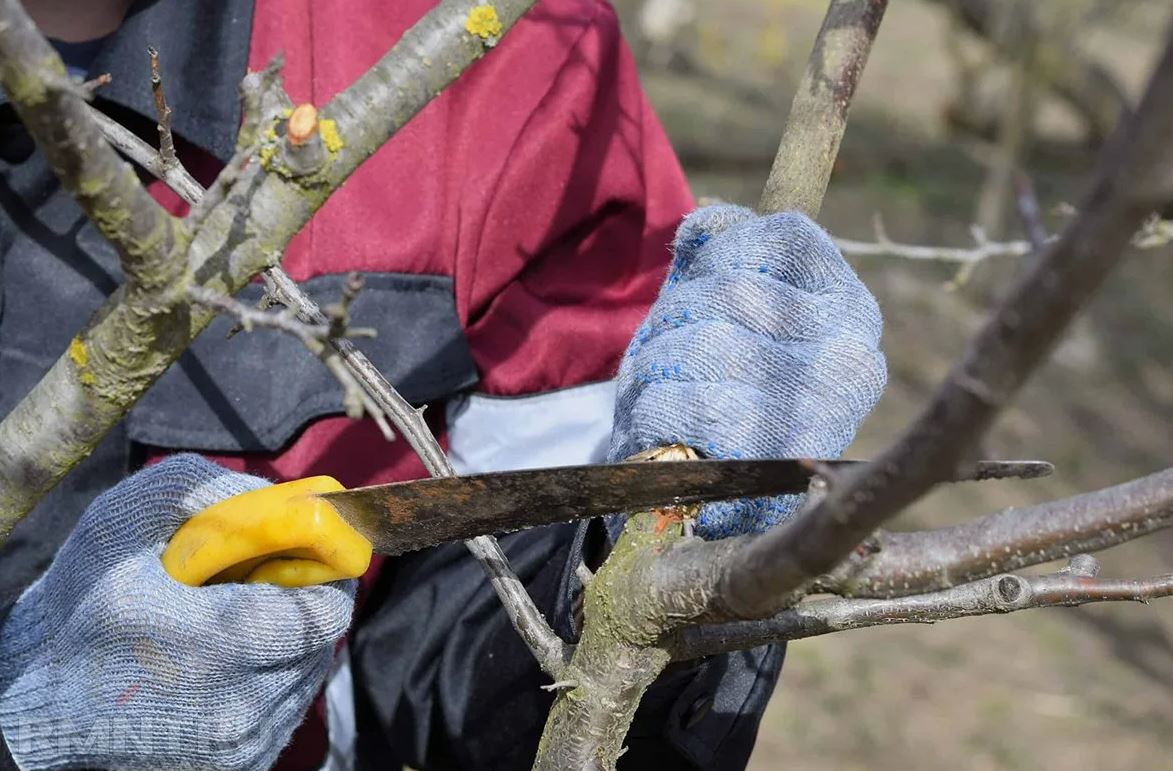 photo_2026-03-24_17-04-00 (6).jpg