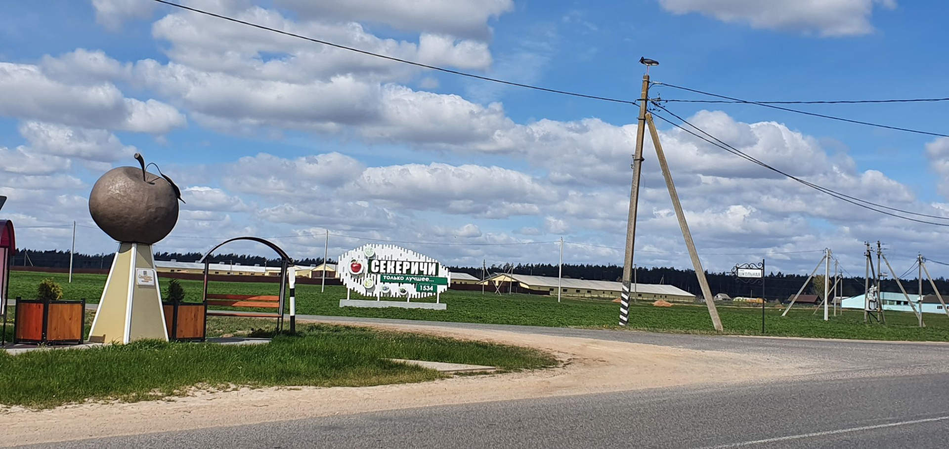 Черный аист.jpg