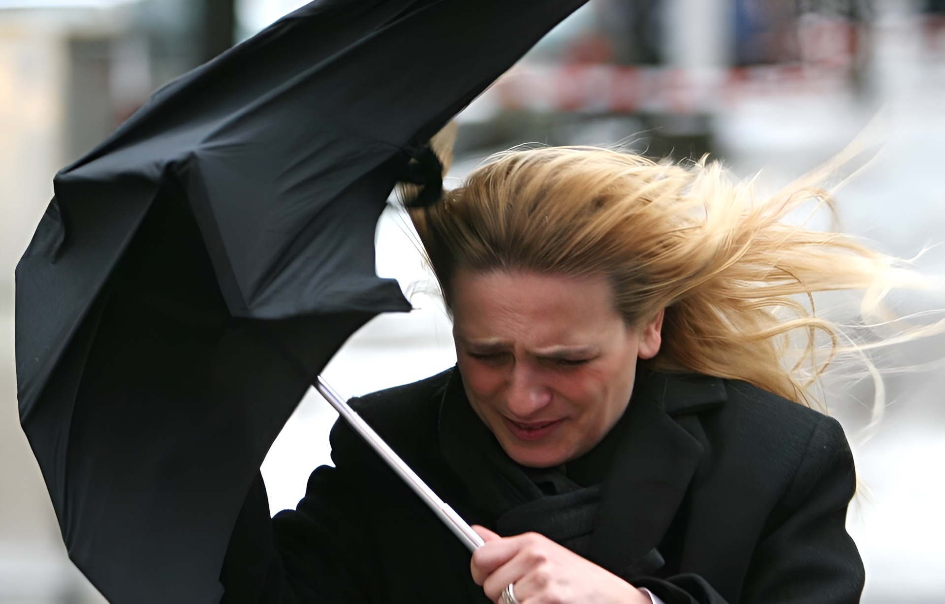 nBkSUhL2hFAjms-3I76BrNOp2Z318Ji-mifGnuWR9mOBdDebBizCnTY8qdJf6ReJ58vU9meMMok3Ee2nhSR6ISeO9G1N_wjJ=zb2xTBf9YL7-3Sgmo7x7jg (1).jpg